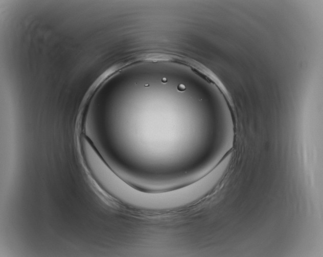 X0000114541195200910191335