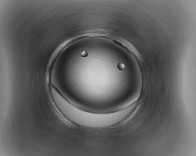 X0000114541196200910191335