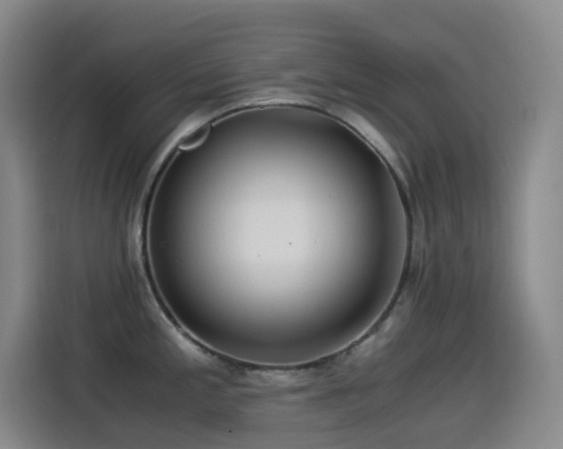 X0000114541197200910191335