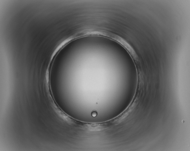 X0000114541198200910191335