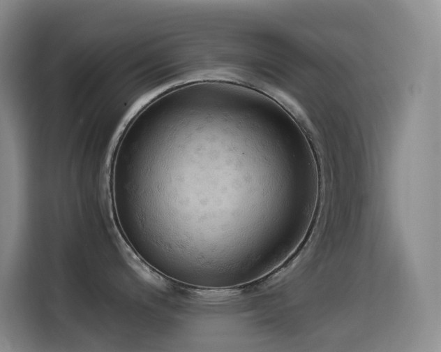 X0000114541200200910191335