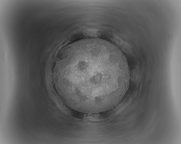 X0000114541201200910191335