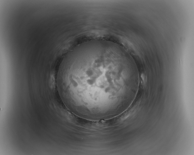 X0000114541203200910191335