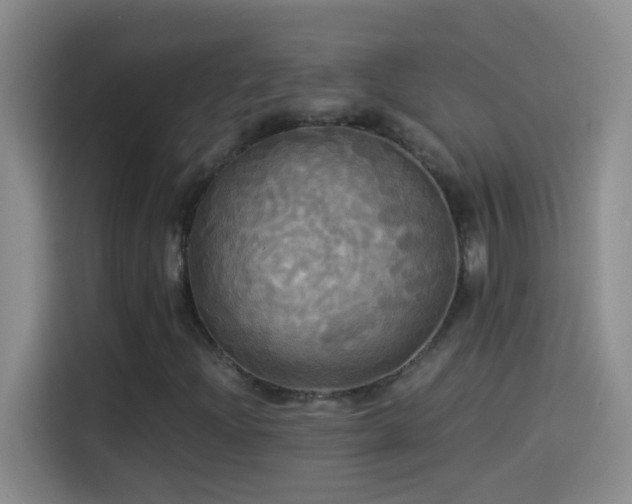 X0000114541204200910191335