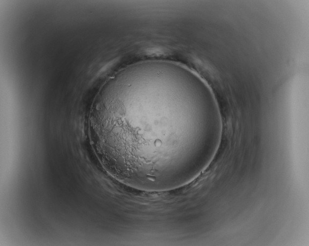 X0000114541205200910191335