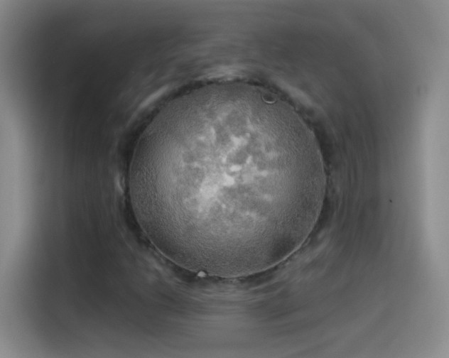 X0000114541206200910191335