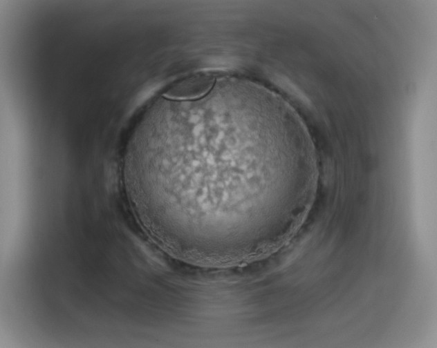 X0000114541208200910191335