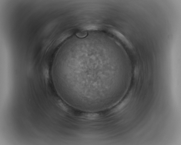 X0000114541209200910191335