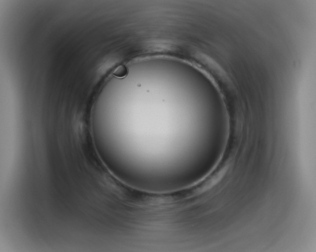 X0000114541210200910191335