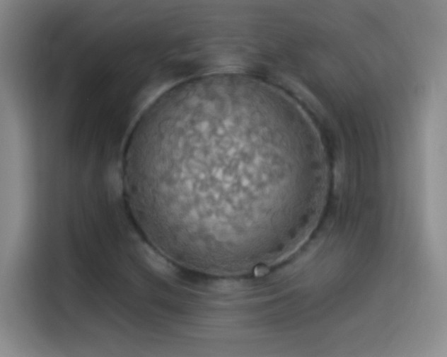 X0000114541212200910191335