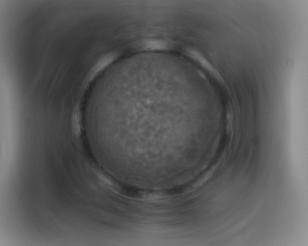 X0000114541213200910191335