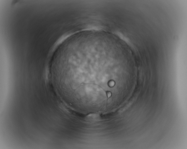 X0000114541215200910191335