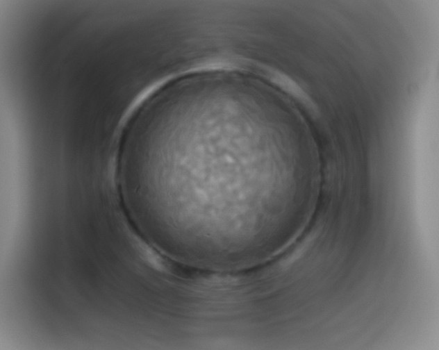 X0000114541216200910191335