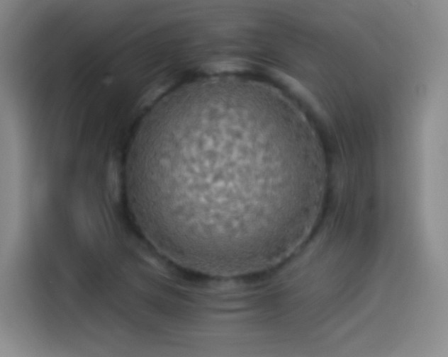 X0000114541217200910191335