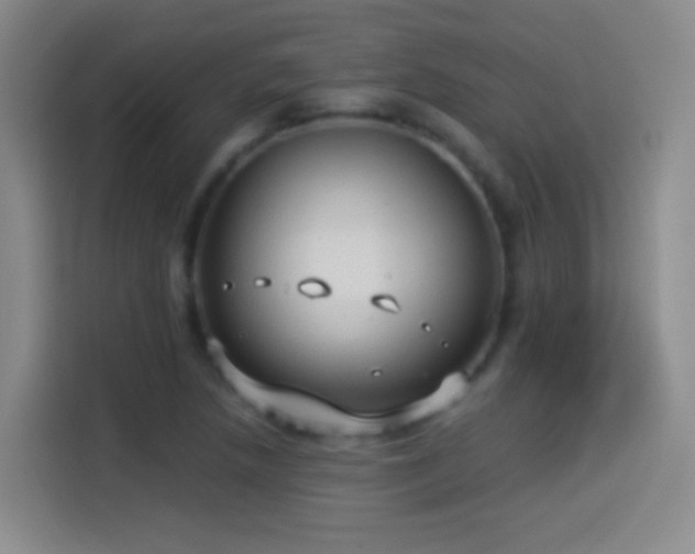 X0000114541218200910191335