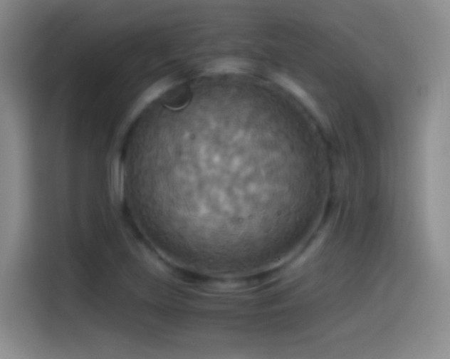 X0000114541219200910191335