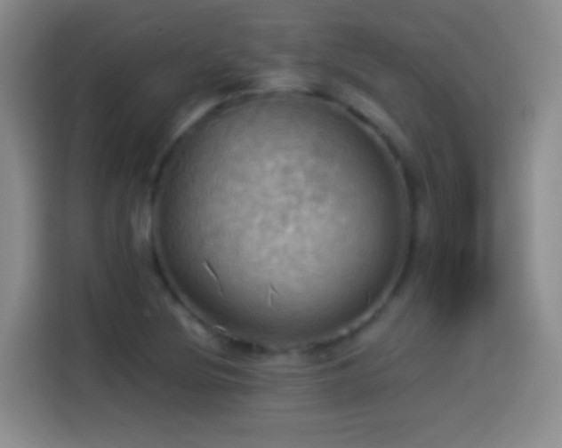 X0000114541220200910191335