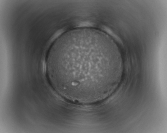 X0000114541221200910191335