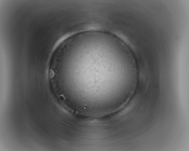 X0000114541222200910191335