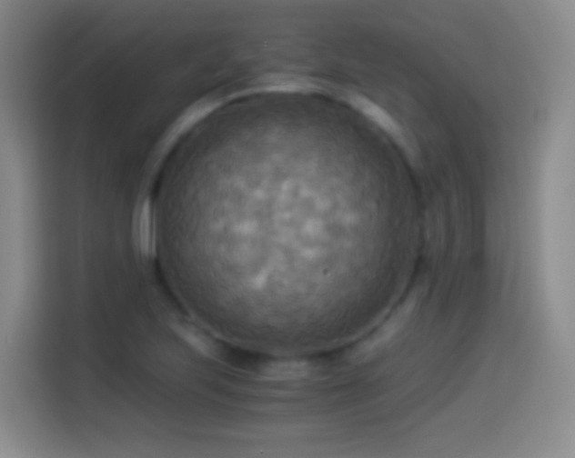 X0000114541223200910191335