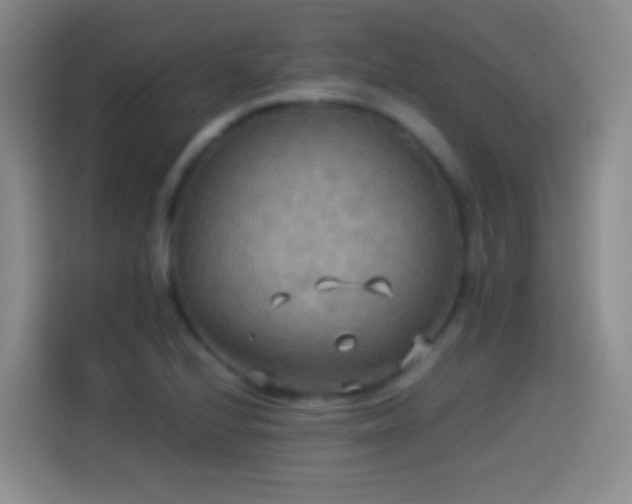 X0000114541224200910191335