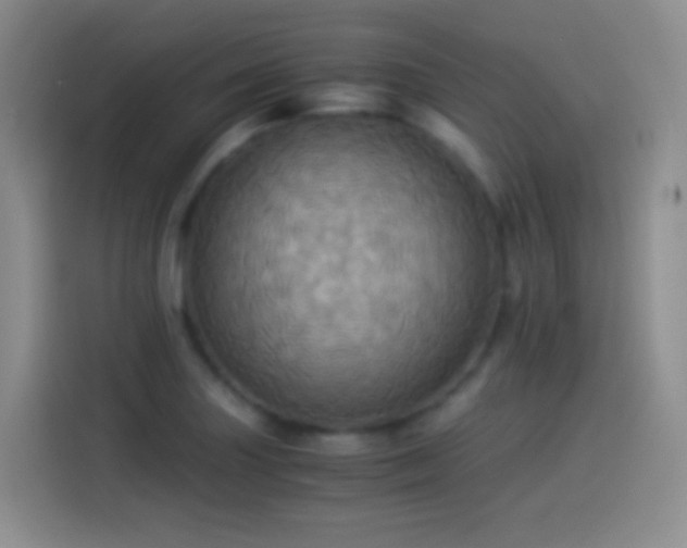 X0000114541227200910191335