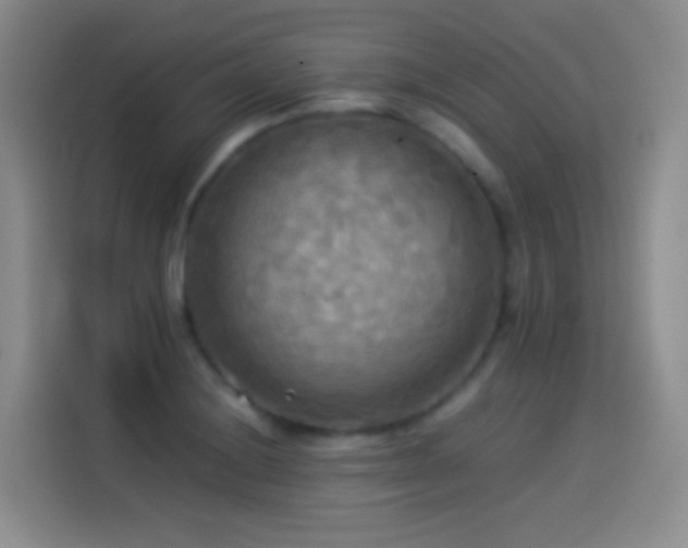 X0000114541228200910191335