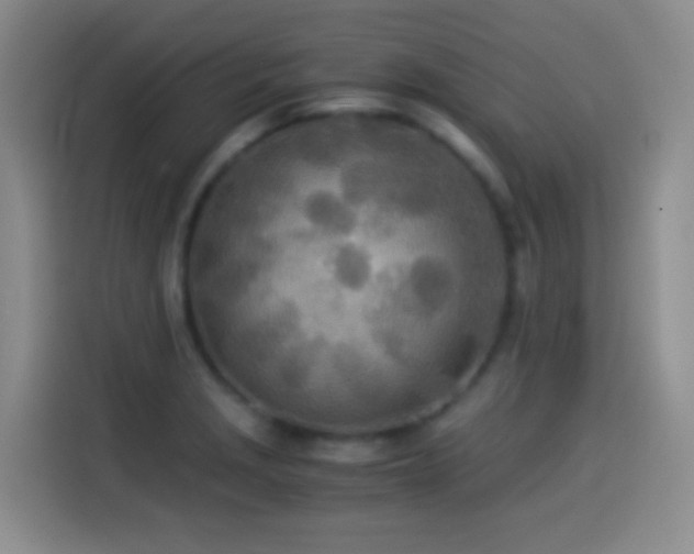 X0000114541229200910191335