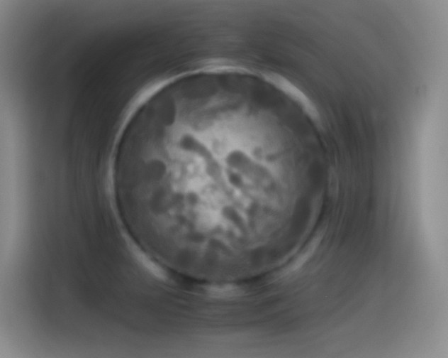 X0000114541231200910191335