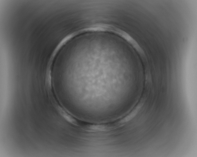 X0000114541232200910191335