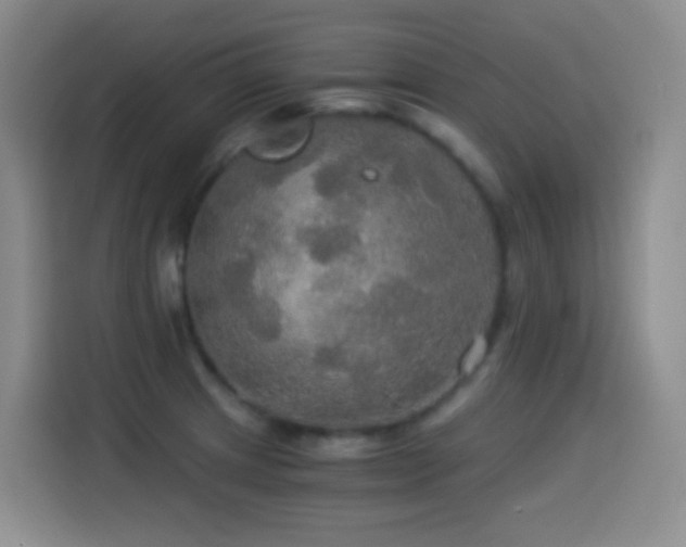 X0000114541233200910191335