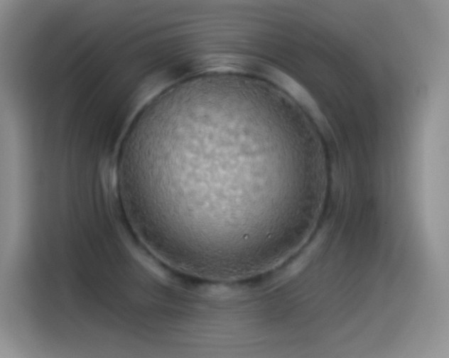 X0000114541234200910191335