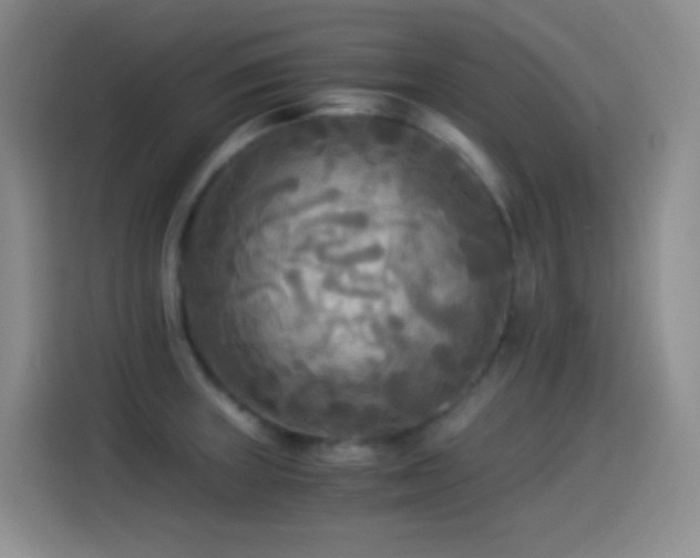 X0000114541235200910191335