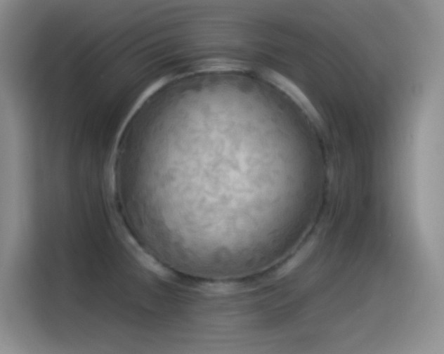 X0000114541236200910191335