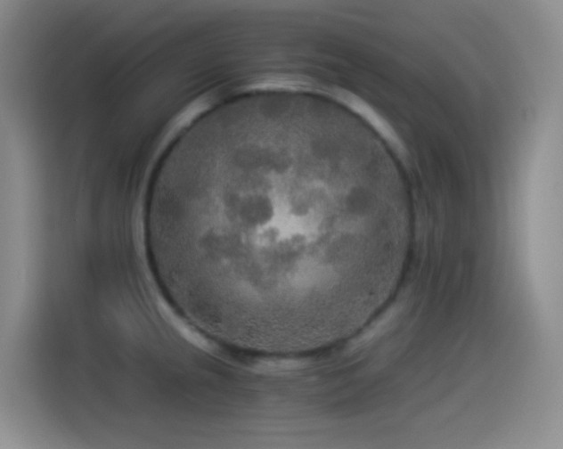 X0000114541237200910191335