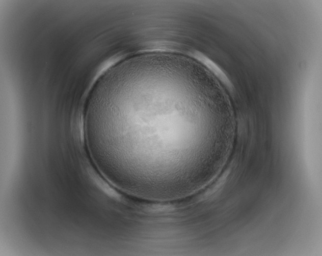 X0000114541238200910191335