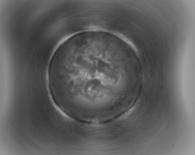 X0000114541239200910191335