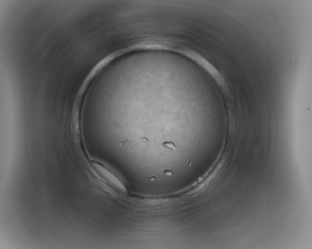 X0000114541240200910191335