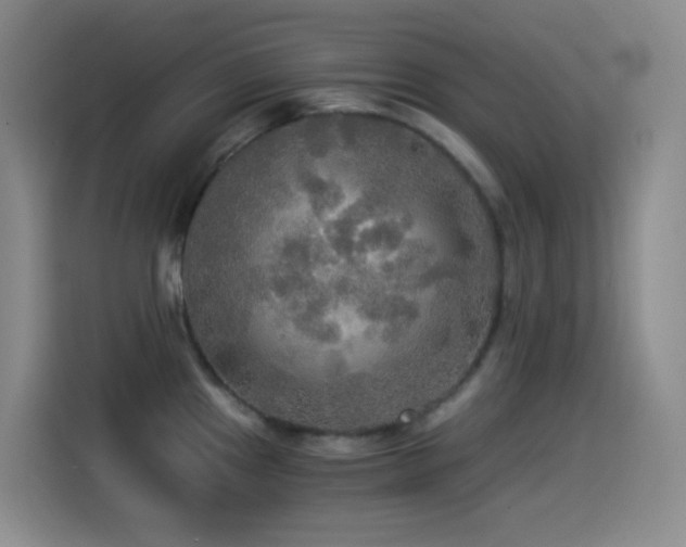 X0000114541241200910191335