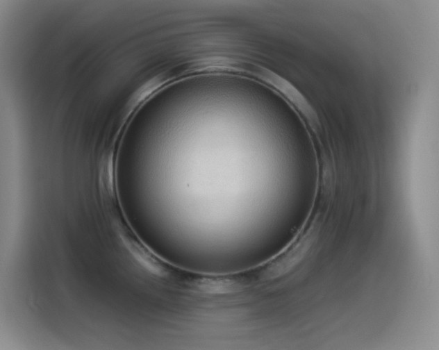 X0000114541242200910191335