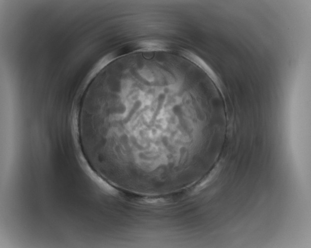 X0000114541243200910191335