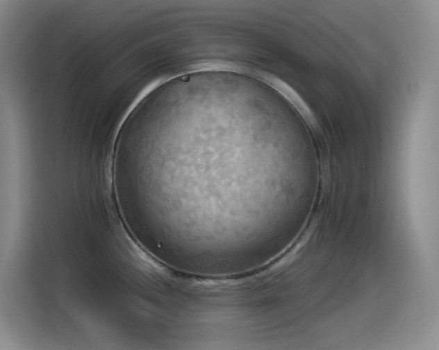 X0000114541244200910191335