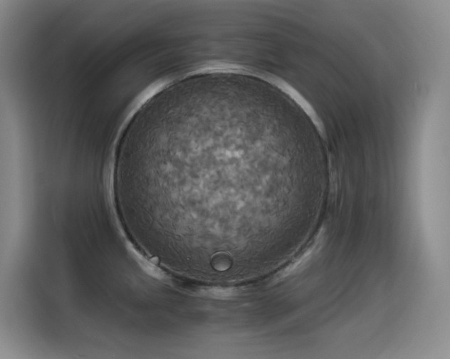 X0000114541245200910191335