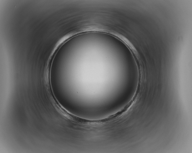 X0000114541246200910191335