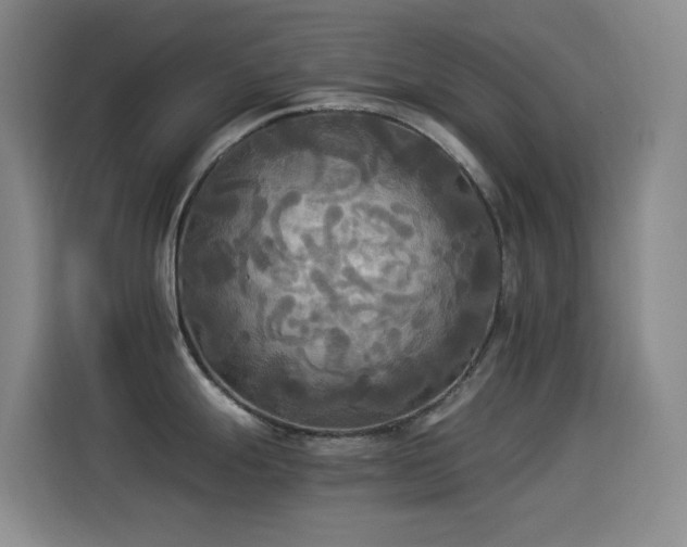 X0000114541247200910191335