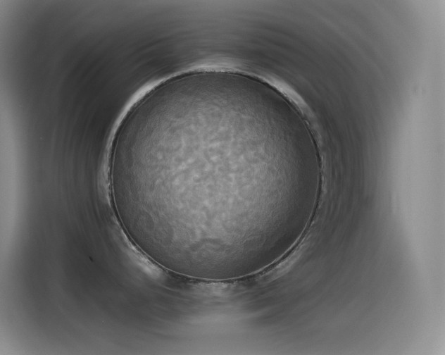 X0000114541248200910191335