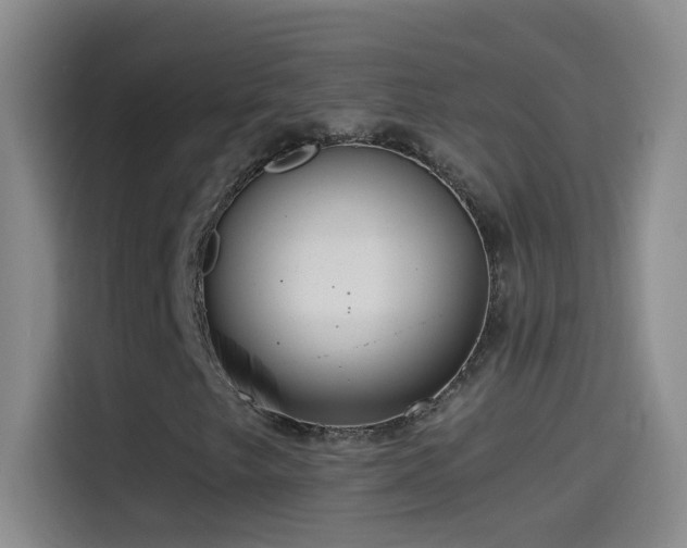 X0000114541249200910191335