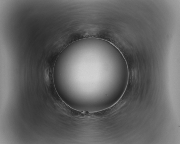 X0000114541250200910191335