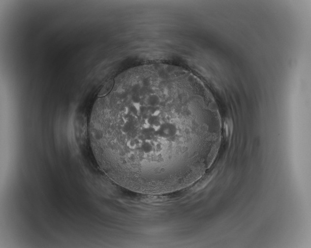 X0000114541251200910191335