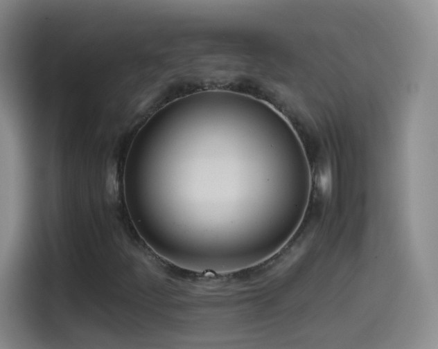 X0000114541252200910191335